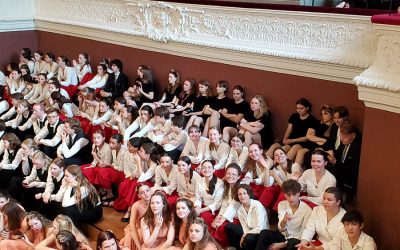 FESTIVAL BÂLE – SUISSE
